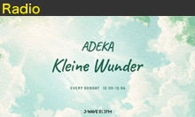 adeka_2510_s